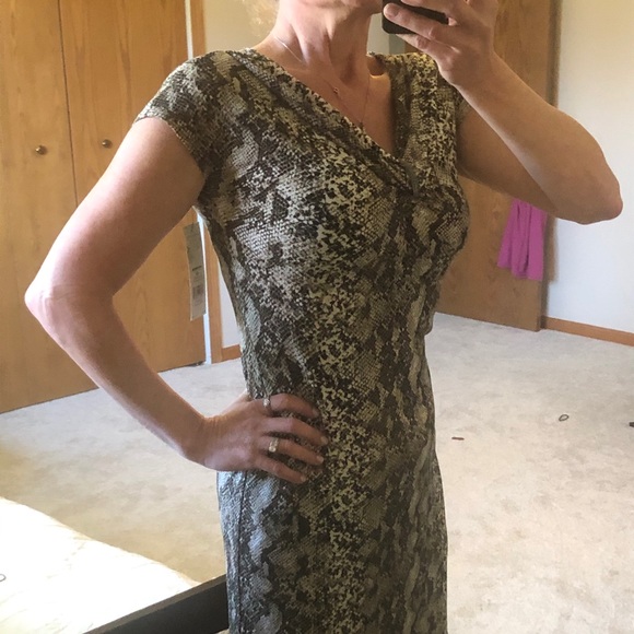 Animal Print Dress - Dana Buchman - Picture 10 of 11